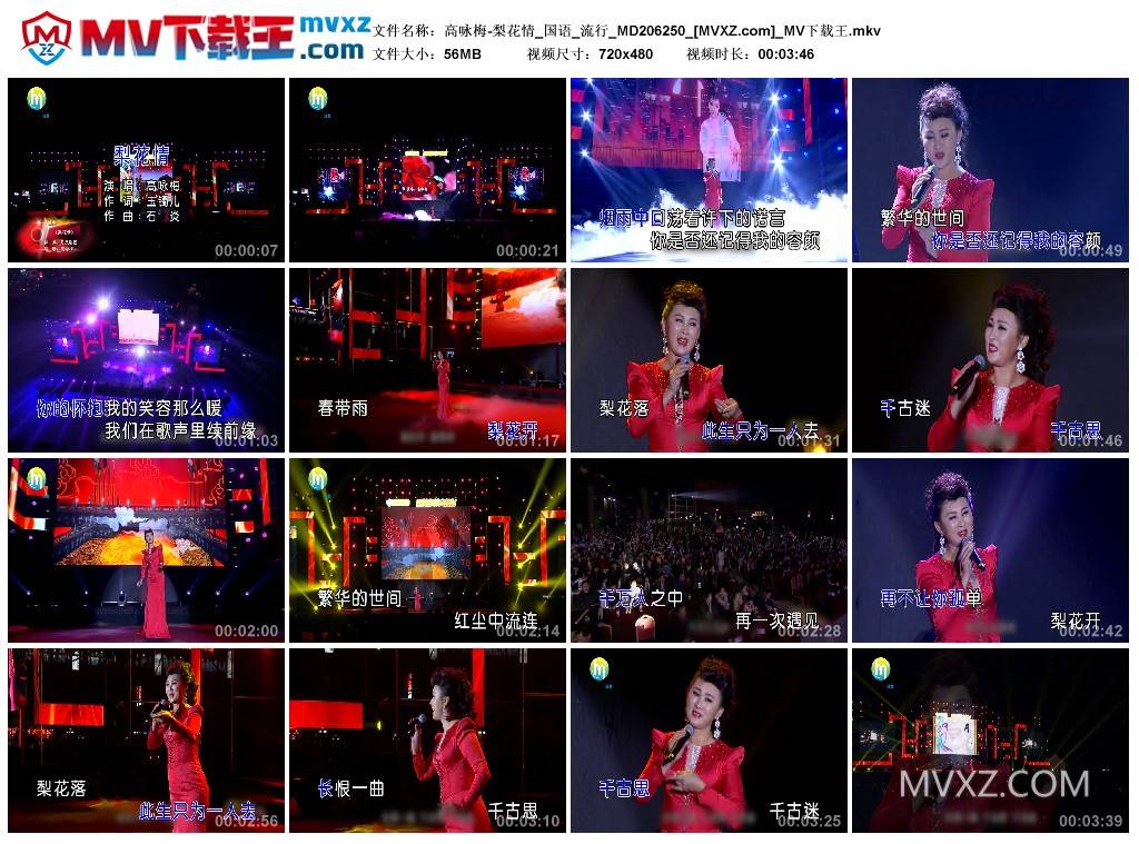 高咏梅-梨花情_国语_流行_MD206250